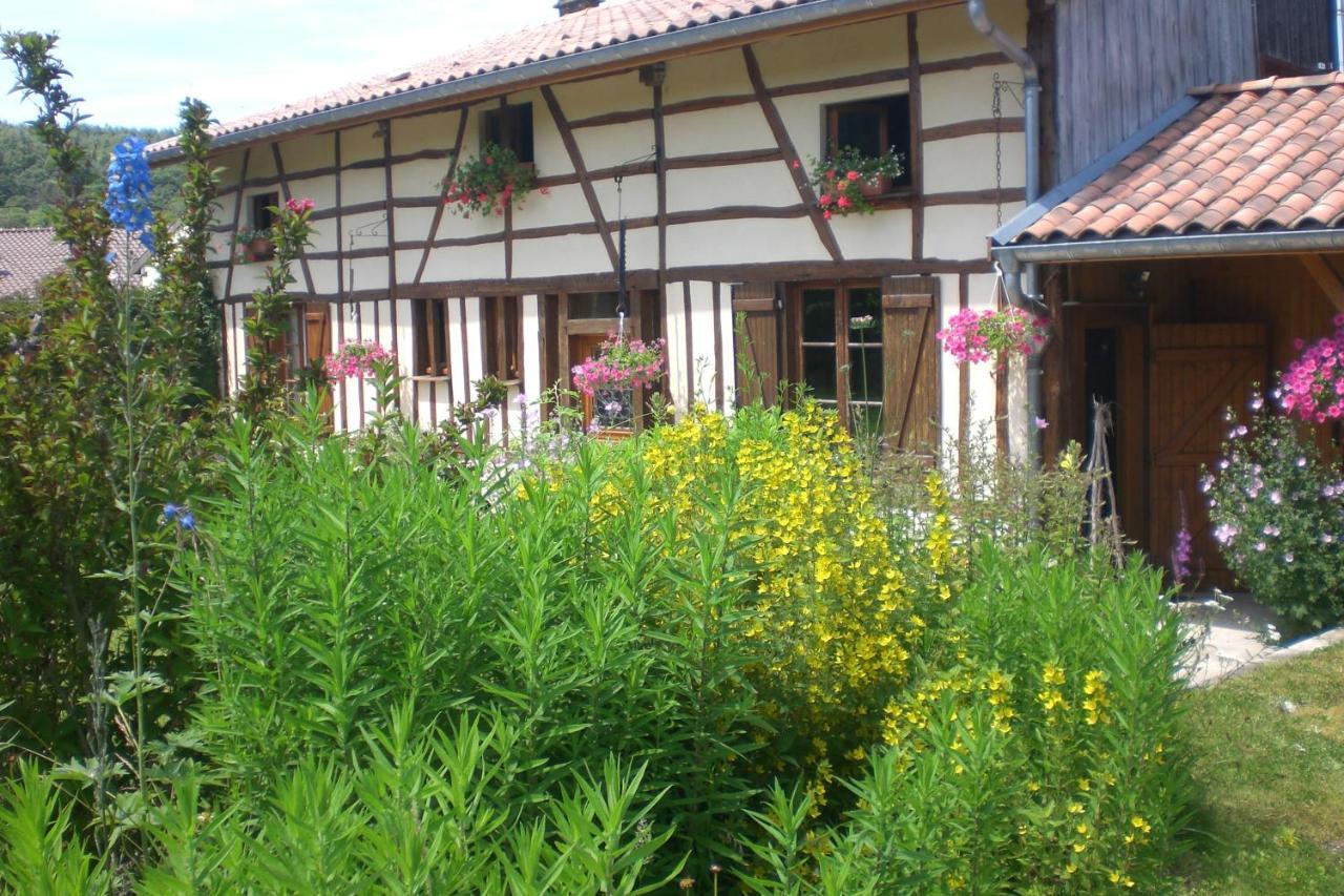 La Maison Du Bucheron Futeau Exterior photo